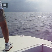 Picture 043